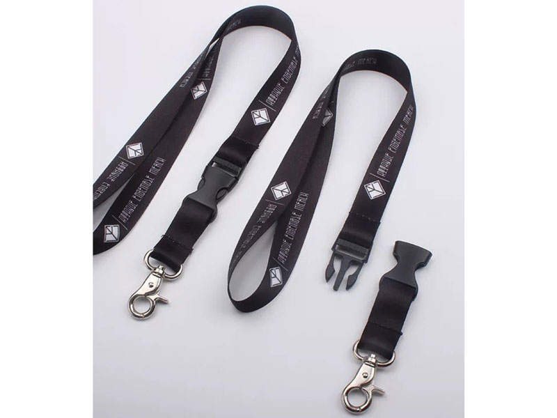 Lanyard