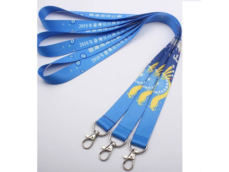 Lanyard